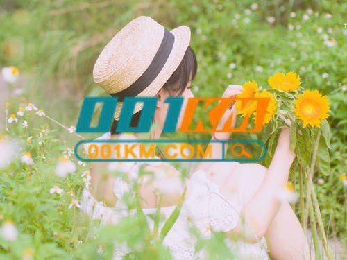 卡盟平台都有什么优点!