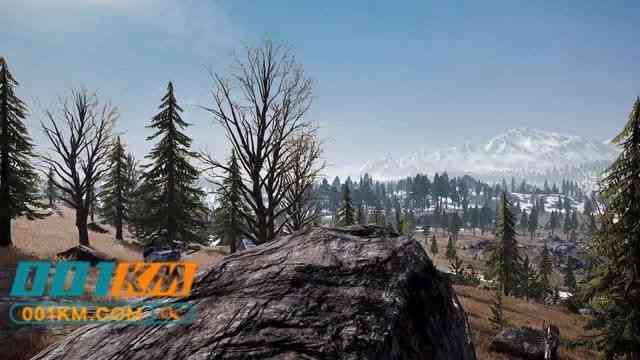 卡盟平台的辅助随时可能封号的!