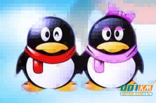 卡盟平台的安全性究竟如何呢?